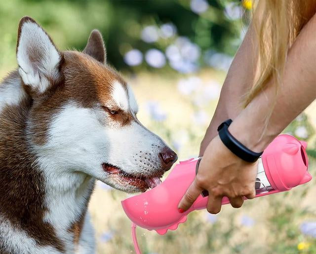 🐱 PETZEN 4X 🐶 - BEBEDERO 4 EN 1 PARA TU MASCOTA 🐕🐾